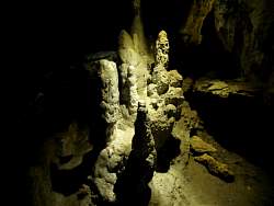 IMG_4735.jpg