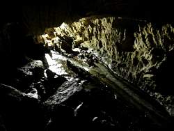 IMG_4736.jpg