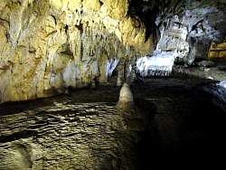 IMG_4741.jpg