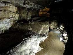 IMG_4742.jpg
