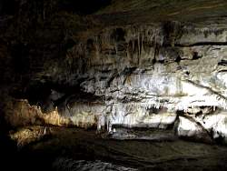 IMG_4747.jpg