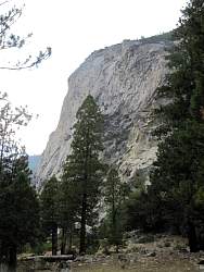 IMG_4641.jpg