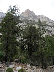 IMG_4643.jpg