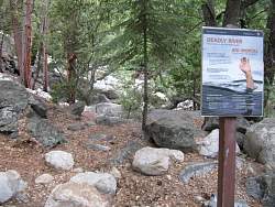 IMG_4652.jpg