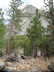 IMG_4653.jpg