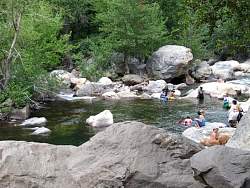 IMG_4659.jpg