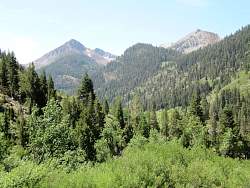IMG_4984.jpg