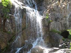 IMG_4988.jpg
