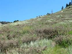 IMG_4989.jpg