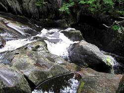 IMG_5161.jpg