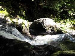 IMG_5167.jpg