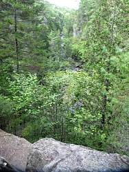 IMG_5190.jpg