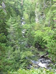 IMG_5193.jpg