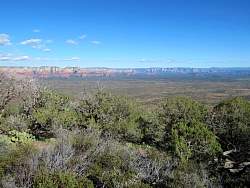IMG_5432.jpg
