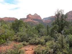 IMG_5821.jpg