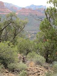 IMG_5836.jpg