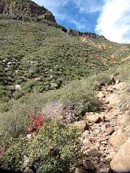 IMG_5848.jpg