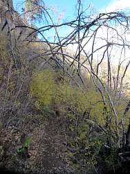 IMG_5864.jpg
