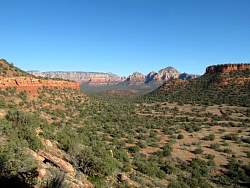 IMG_6130.jpg