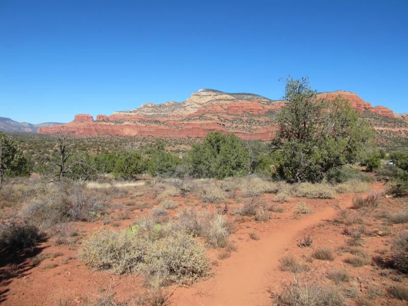 IMG_5804.jpg