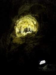 IMG_7172.jpg