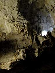 IMG_7174.jpg