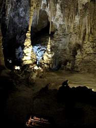 IMG_7178.jpg