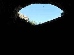 IMG_7195.jpg