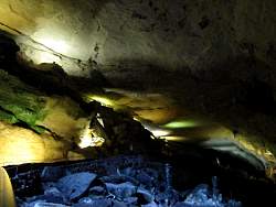 IMG_7208.jpg