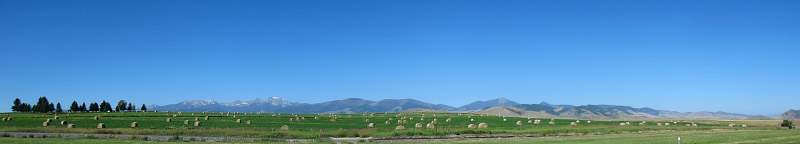 STA_8189pan.jpg