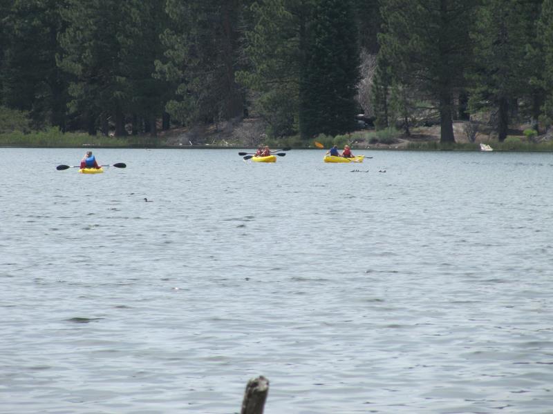 IMG_7452.jpg