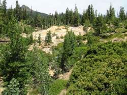 IMG_7387.jpg