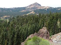 IMG_7410.jpg