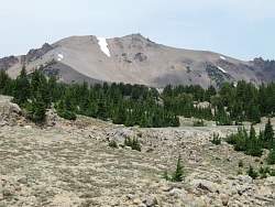 IMG_7425.jpg