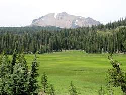 IMG_7426.jpg