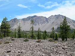IMG_7436.jpg