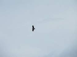 IMG_7449.jpg