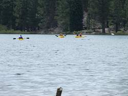 IMG_7452.jpg