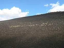 IMG_7680.jpg
