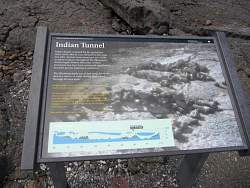 IMG_7703.jpg