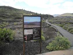IMG_7716.jpg