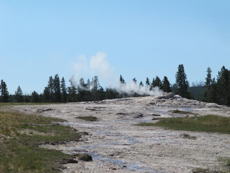IMG_7867.jpg