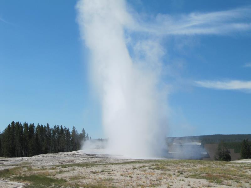 IMG_7891.jpg