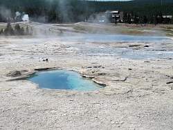 IMG_7919.jpg
