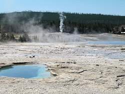 IMG_7921.jpg
