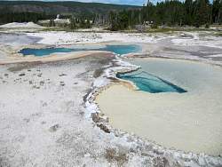 IMG_7930.jpg