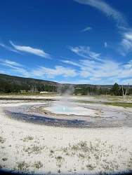IMG_7954.jpg