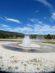 IMG_7955.jpg