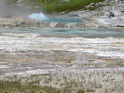 IMG_7985.jpg