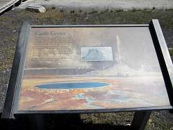 IMG_7998.jpg